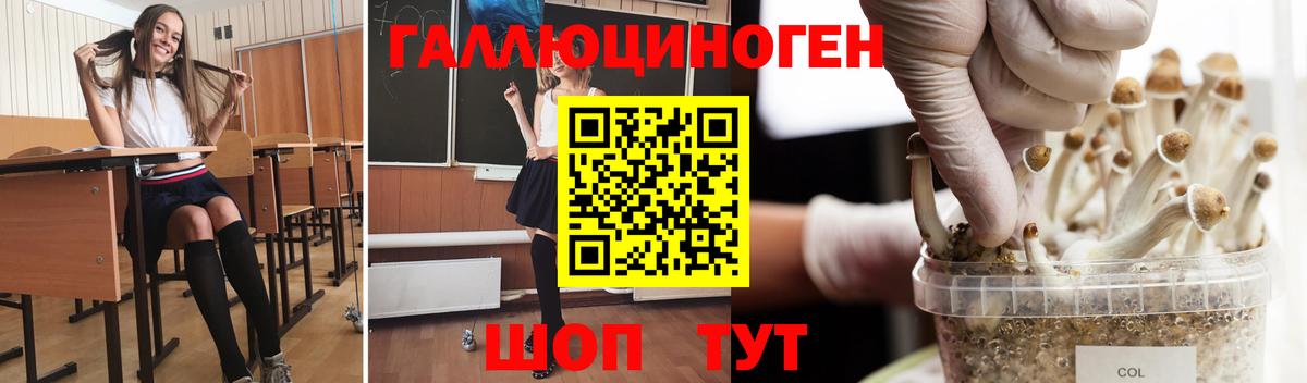 Псилоцибиновые грибы прущие грибы Ивантеевка